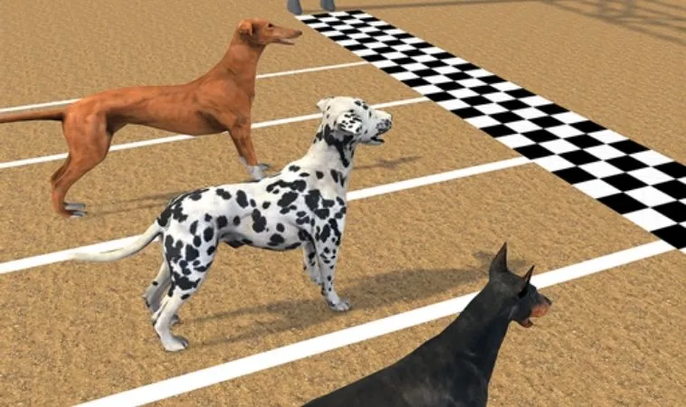 Hướng Dẫn Chi Tiết Cách Chơi Game Nhanh Đua Chó Tại Hay88 1 Đua Chó Tại Hay88