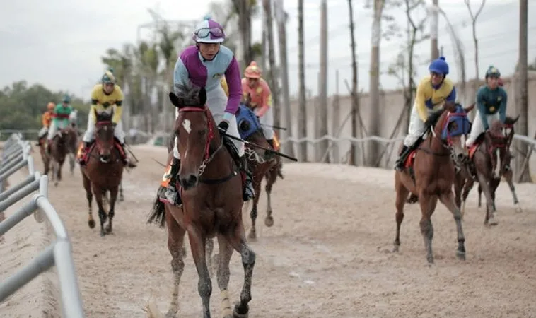 Hướng Dẫn Cá Cược Đua Ngựa Hay88 Hiệu Quả Cho Người Chơi 1 Đua Ngựa Hay88