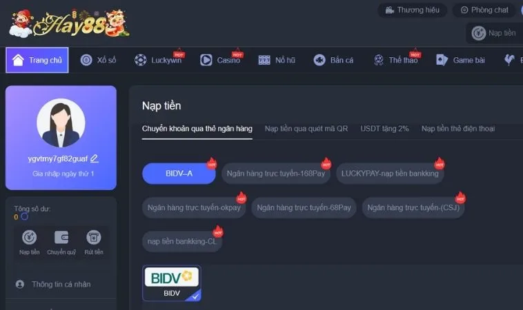 Hướng Dẫn Nạp Tiền Hay88 Chi Tiết Và An Toàn Nhất 2 Giao diện nạp tiền Hay88