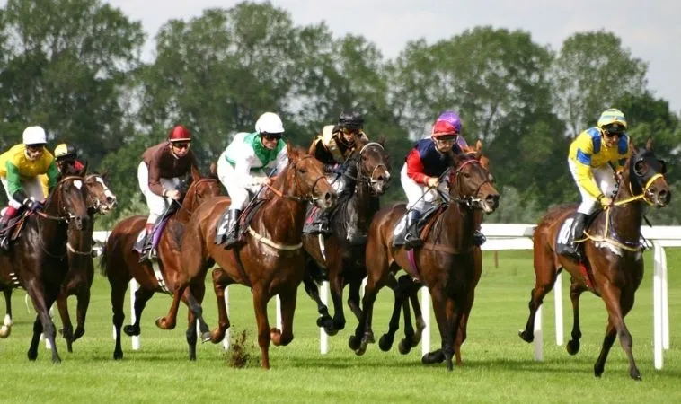 Hướng Dẫn Cá Cược Đua Ngựa Hay88 Hiệu Quả Cho Người Chơi 2 Cần tìm hiểu về bộ môn Đua Ngựa Hay88 trước khi tham gia cá cược